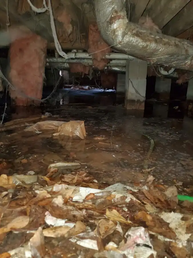 Crawl space flood assessment for Leak Detection & Repair in Blair