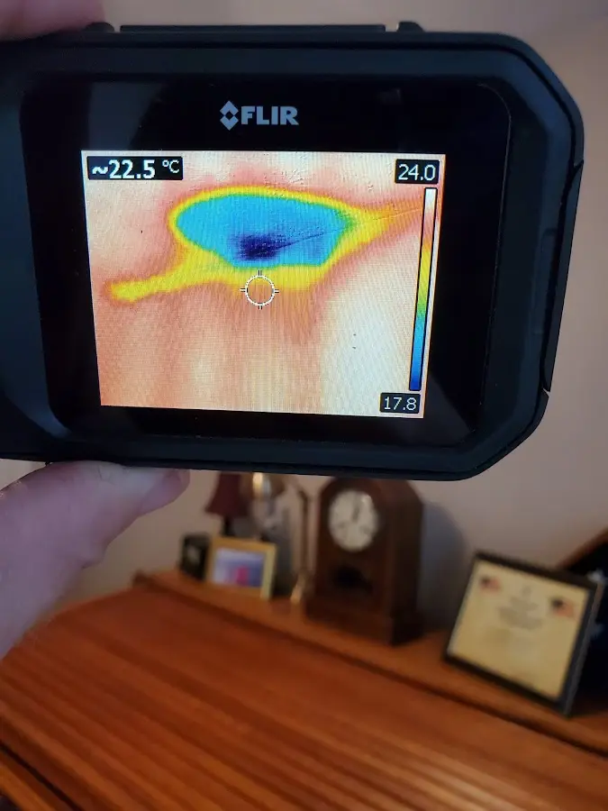 Thermal imaging inspection for water damage in Blair